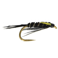 Black and Sunburst Diawl Bach(114)