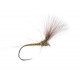 DC Blue Wing Olive (215)