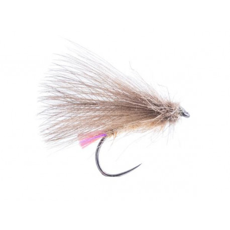 Purple Tail Sedge (208)