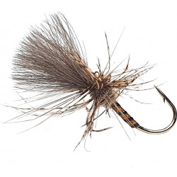 Yellow Owl Grunter (216)