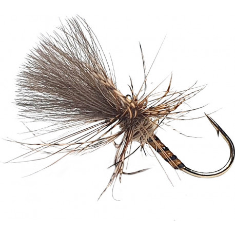 Yellow Owl Grunter (216)