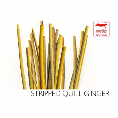 Stripped Polish Quills