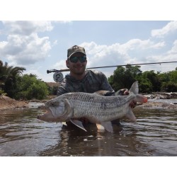 Custom Tigerfish Fly