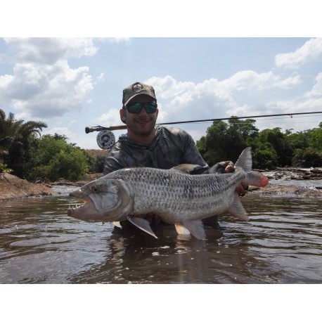 Custom Tigerfish Fly