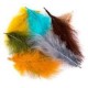 Hends Marabou