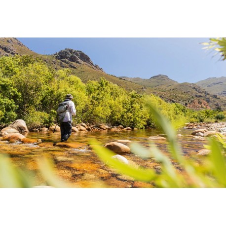 Cape Streams Fly Selection