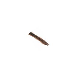 Pheasant Tail