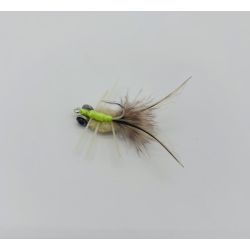 Rag Head Crabs