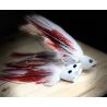 GT Popper White/Red