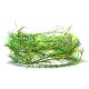 Mosaic Straggle 12mm