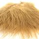 TURKEY MARABOU