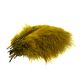 TURKEY MARABOU