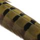 FASNAFLYFISHING Pheasant Tails