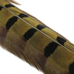 FASNAFLYFISHING Pheasant Tails