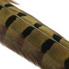 FASNAFLYFISHING Pheasant Tails