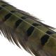 FASNAFLYFISHING Pheasant Tails