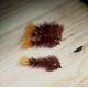 Micro game Changer brown