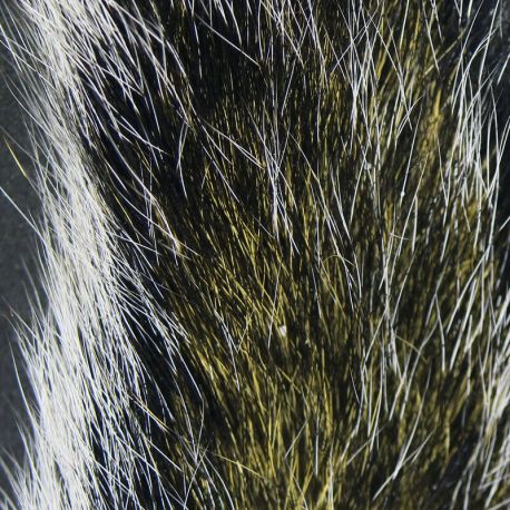 Gray Squirrel Tail Natural