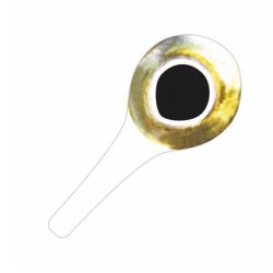 Pro 3D Tabbed Eyes Silver/Yellow
