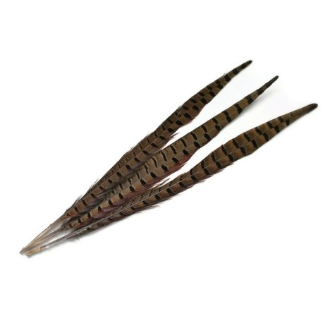 Hareline Pheasant Tail Feathers