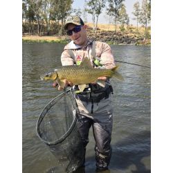 Early Season Vaal Fly Pack