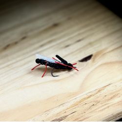 XFA Large Black Hopper