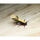XFA Large Brown Olive Wing Hopper