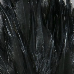 Strung Chinese 5-7 Inch Saddle Hackle