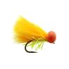 FARIO Neon Sunburst Booby