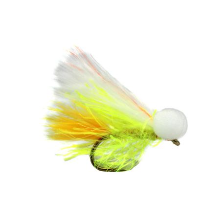 Sunburst Tailed Cat Booby