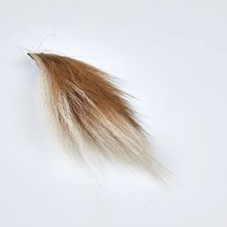 BUCKTAIL