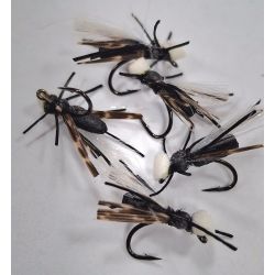XFA White Head Ant Grizzly Wing