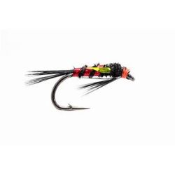 Black & Red Diawl Bach