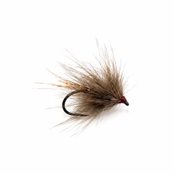 FARIO CHLUMSKY CDC Rockstar Bettle