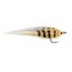 Barred Tiger Jerk Minnow