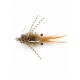 Avalon Shrimp