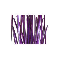 Quill & Fly Stripped Polish Quills
