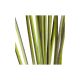 Quill & Fly Stripped Polish Quills