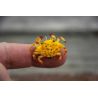 Flats Craft Ketta Crab